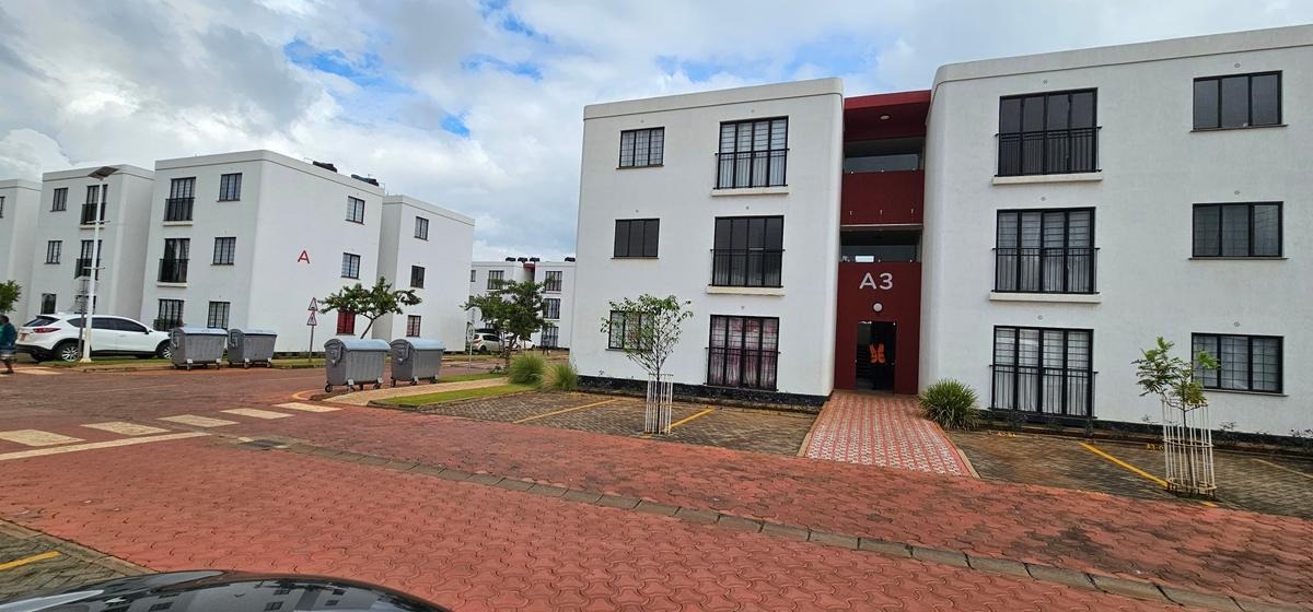 586901141 2285728271906013 1286993493121936943 n